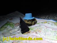 /home//u458753944/public_html/sourcegallery//////////////////////Roxborough Toad Detour/2013-2019/2017/P4110723.JPG